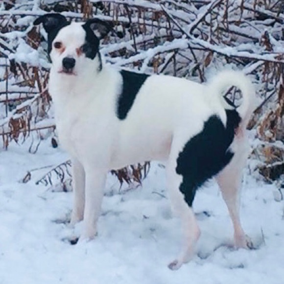 Meet your Posher, Sherry, Posh Ambassador - Picture 7 of 14